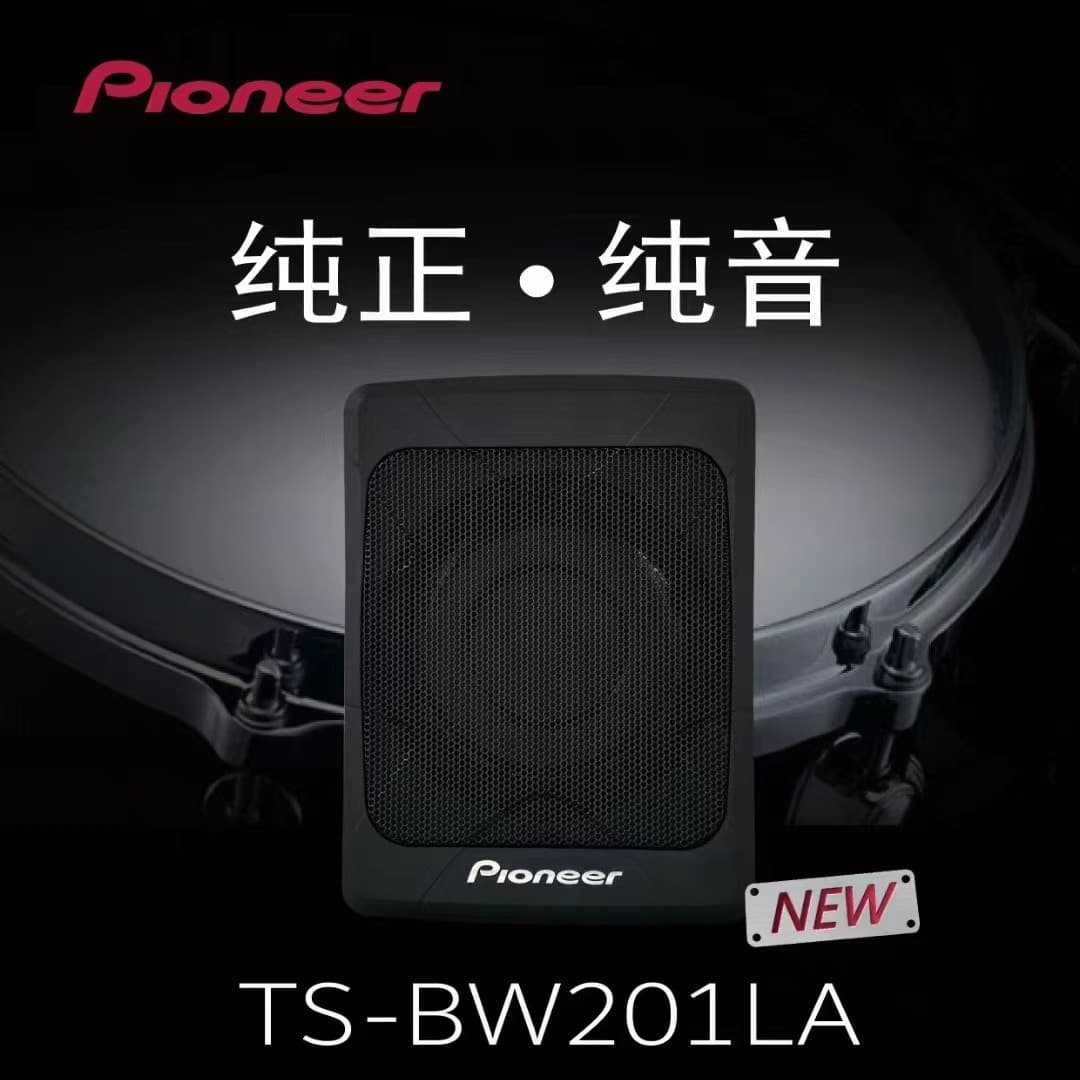 Pioneer Car Ultra-Slim Subwoofer TS-BW201LA Active Built-in Amplifier for Car Audio Modification
