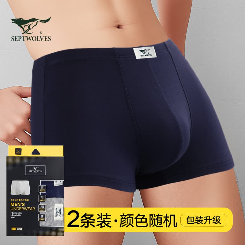 Septwolves Men's Underwear 03900 Viscose Solid Color Boxer Briefs Ice Silk Comfort Retail Style 2-Pack Boxed
