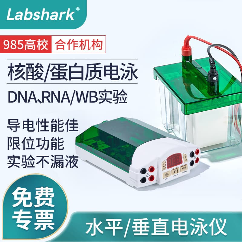 Labshark Horizontal and Vertical Electrophoresis System with Power Supply, WB Laboratory Electrophoresis Tank for Agarose Protein Detection and Transfer Membrane