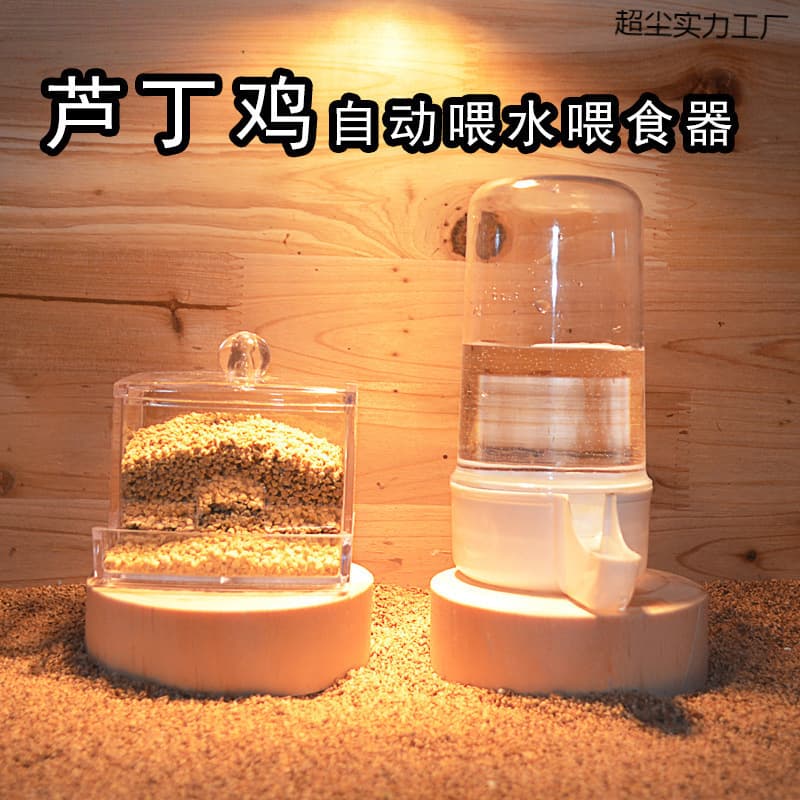 Feeder Box for Quail, Feed Box for Chicks, Water Bottle, Automatic Water Dispenser, Drinking Station Supplies