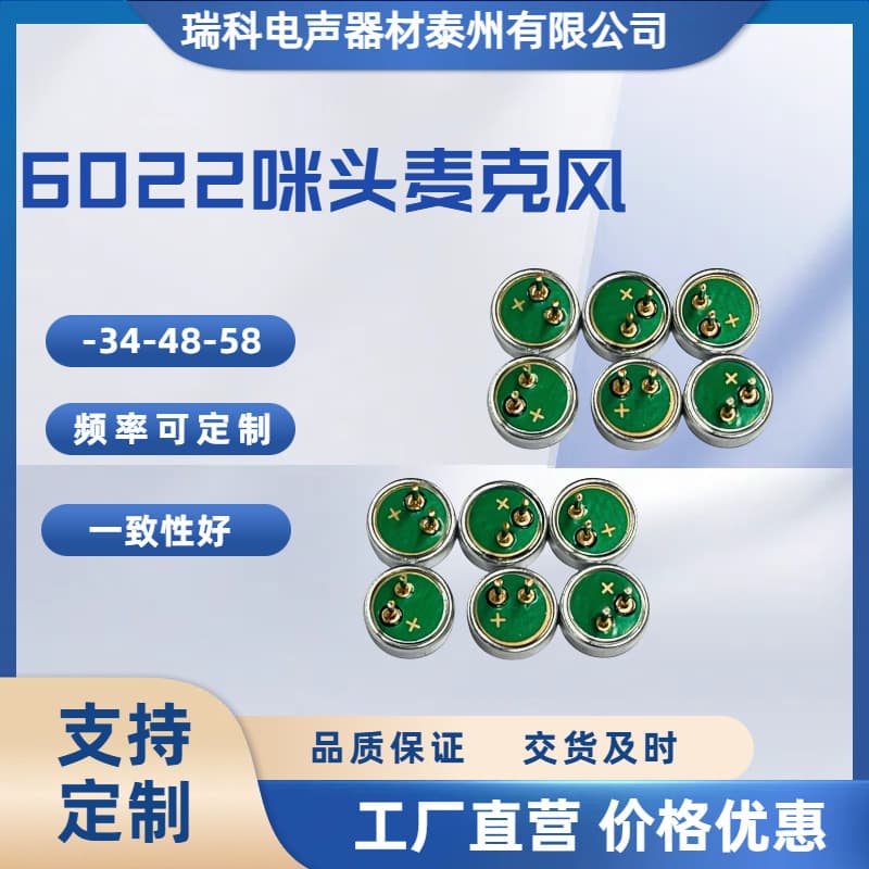 Mic6022/6027 Electret Microphone Solder Pin Dual-Type Sound Pickup Receiver Microphone Dedicated