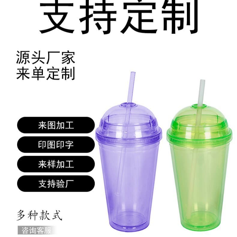 Double-layer Plastic AS Insulated Large Capacity 450ml with Round Lid Sealed Leak-proof Creative Summer Cold Drink Straw Cup