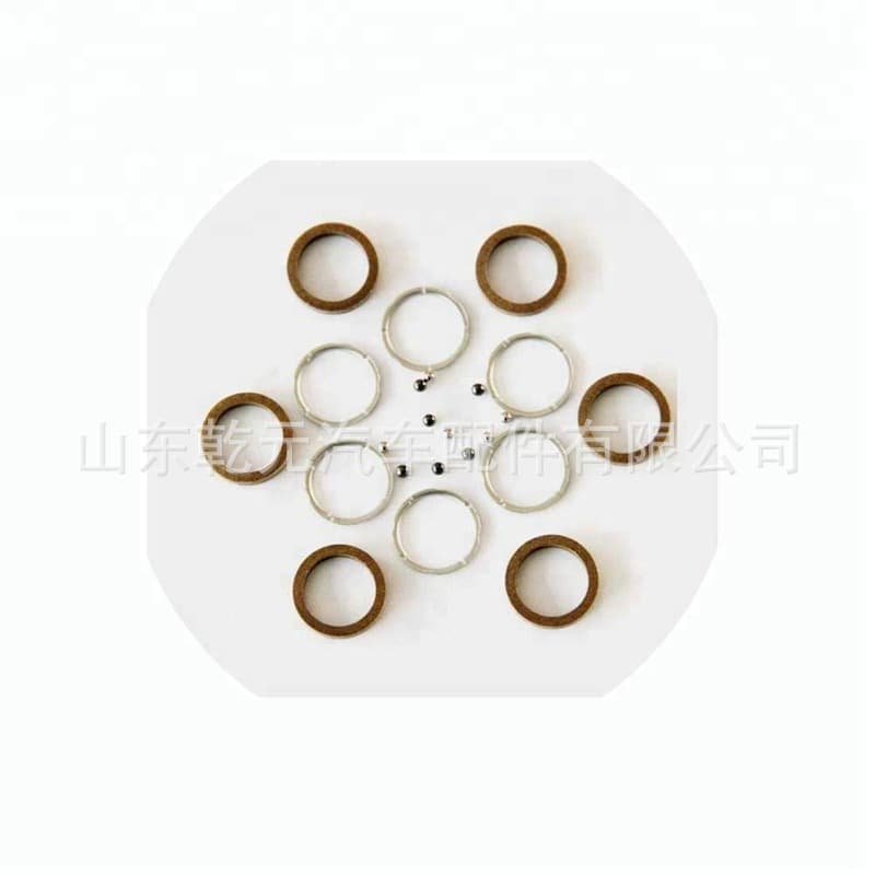 Fuel injector repair kit F00VC99002 with valve balls and seals