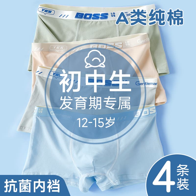 Boys' Underwear for Puberty Development Ages 12-14 Teenagers 15 High School Boys