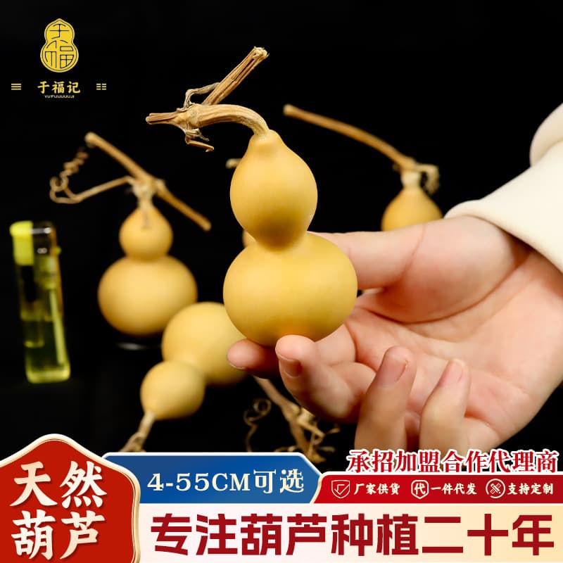 Natural Gourd Twirling Small Gourds Wholesale, with Dragon Head Collectible Handpieces and Large Gourd Displays