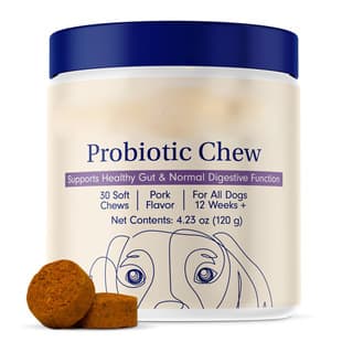 In Stock - Cross-Border US Hot Selling Pet Dog Probiotics for Gut Health Probiotic Chew OEM