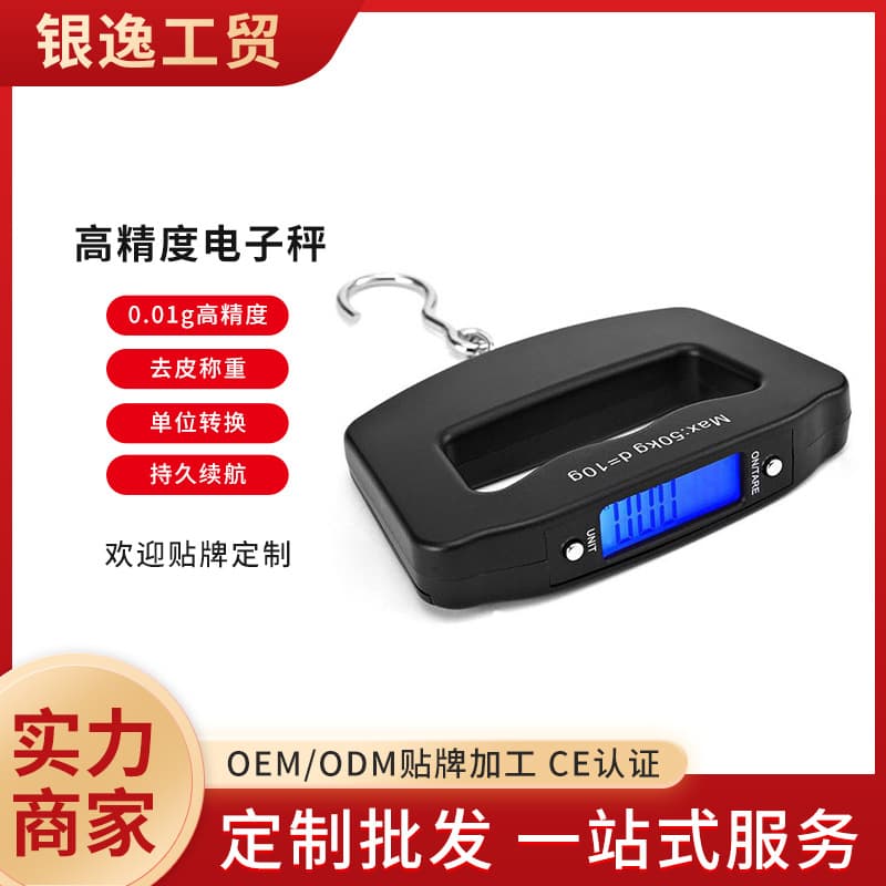 Portable Handheld Scale Travel Luggage Hook Scale 50kg Fishing Grocery Parcel Weighing Household Scale Wholesale