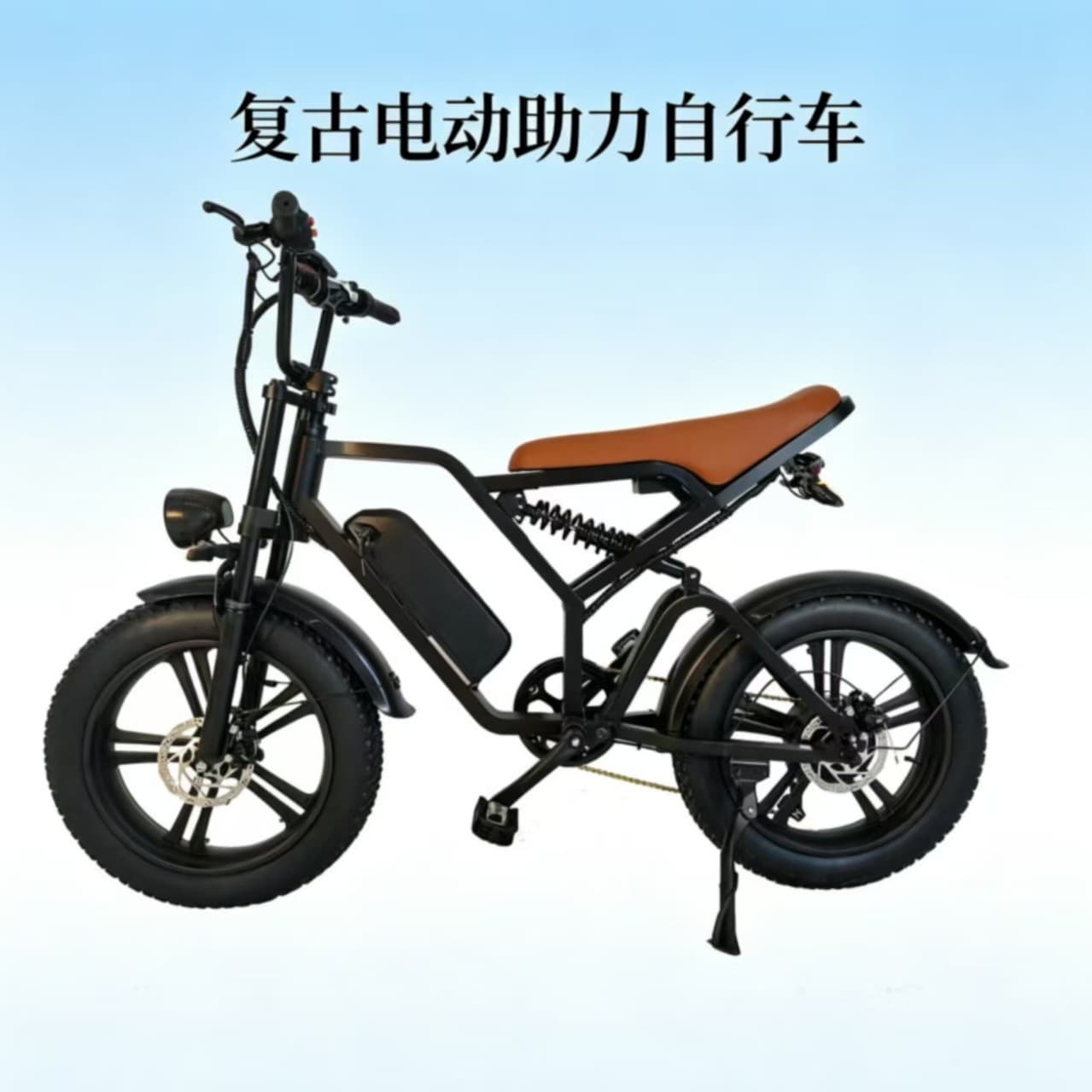 Snow Retro Electric Bicycle 20 Inch Dual Motor Electric Assist Bicycle Wholesale Dual Drive Electric Assist Bike