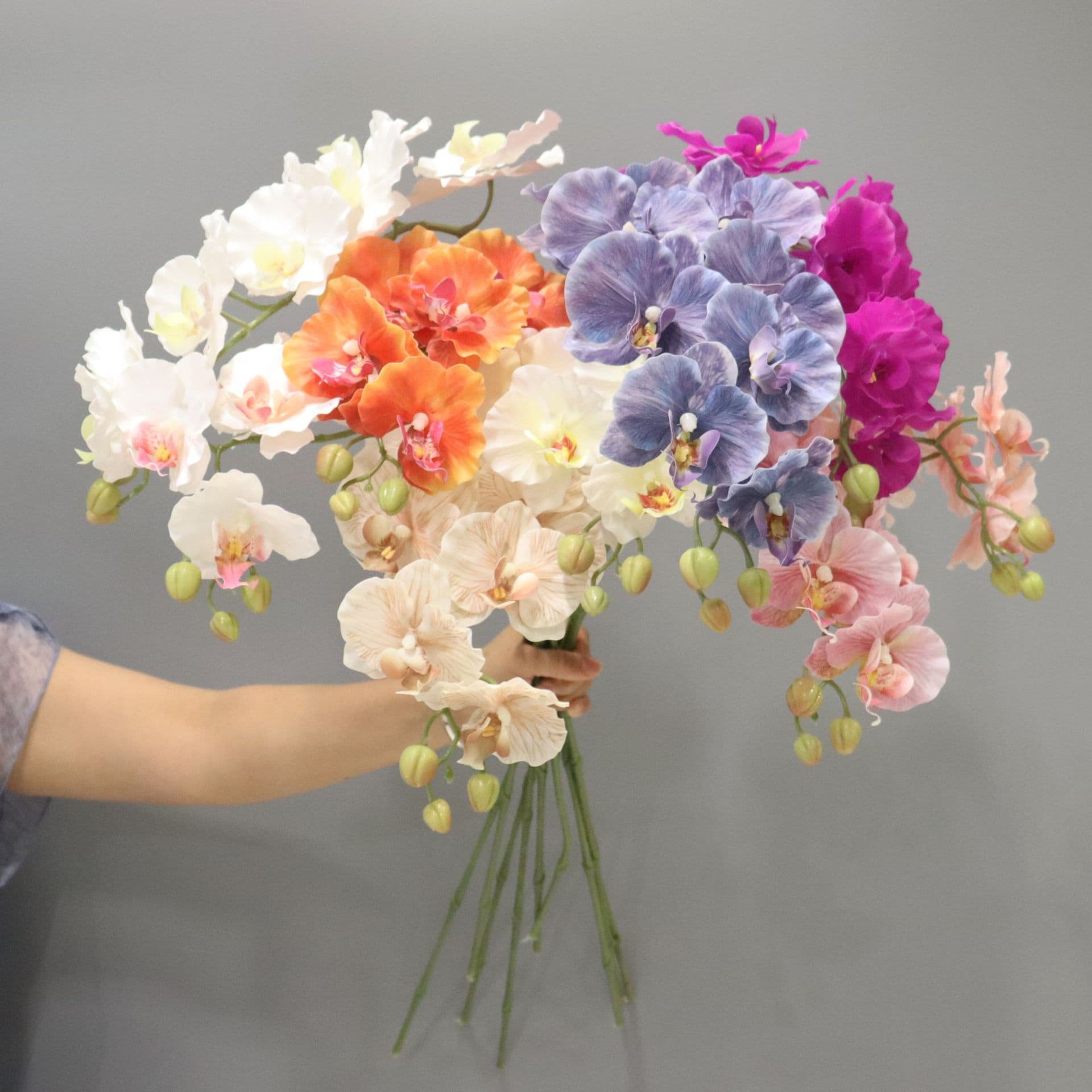 9 European style phalaenopsis orchids Xiaohongshu same style Korean style ins phalaenopsis orchid flower ornaments photo shoot