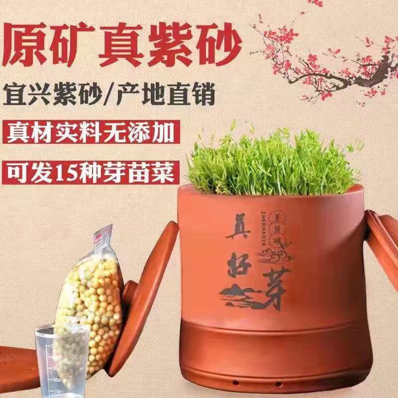 Sweet Crisp Good Sprout - True Good Sprout Bean Sprout Jar, Purple Sand Bean Sprout Growing Jar, Household Automatic Large Capacity
