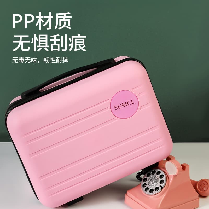 Custom 14-inch Handbag Cosmetic Case Wholesale Gift Suitcase Storage Cosmetic Box Portable 2024 New Style