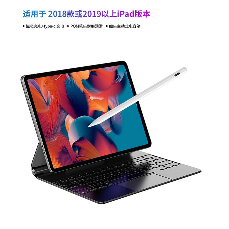 iPad Capacitive Stylus Compatible with Tablets 2018 Version and Above, Type-C Anti-Mistouch Handwriting Pen with Magnetic Charging