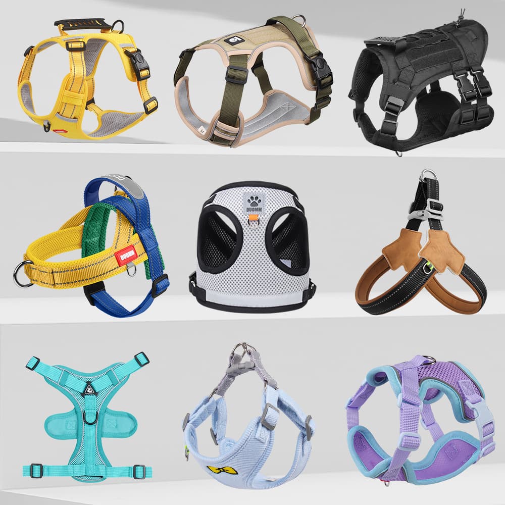 Best-selling Dog Leash Cross-border Outdoor Anti-lost Dog Harness Breathable Comfortable Anti-pull Pet Leash
