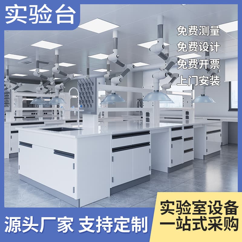 Laboratory Workbench Test Table PP Central Side Table Operation Table Sink Table Full Steel Steel Wood Experiment Table