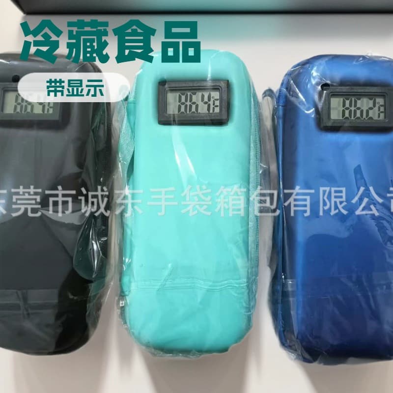 Insulin cooling case with temperature display - portable medical travel case with 2 TSA locks.
