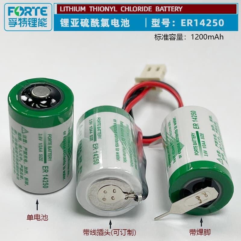Offer Forte ER14250 smart IC card ETC Delta programmer Internet of Things PLC lithium battery with feet