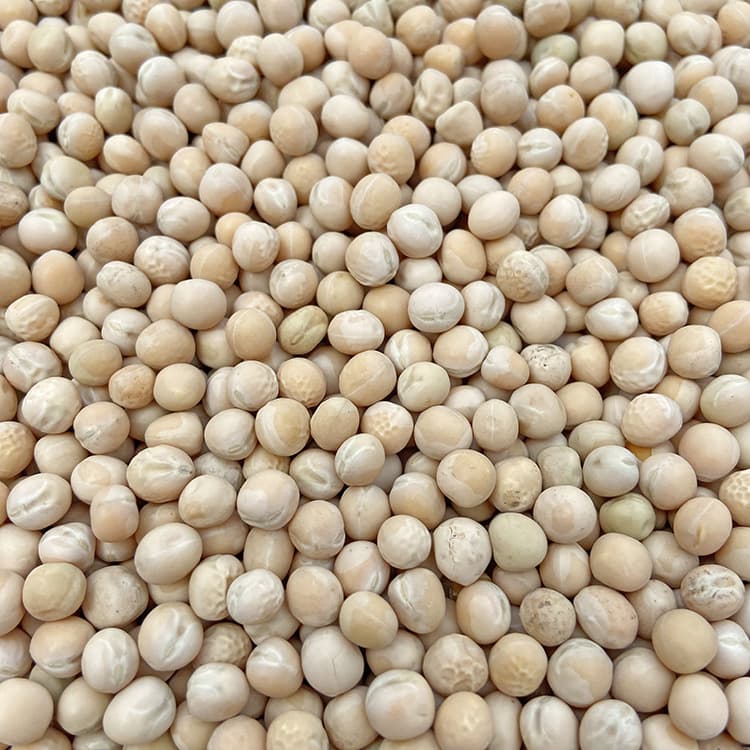 White Peas, Raw Peas, Dried Peas with Skin, Yellow Peas, Wuxin Pigeon, Pigeon Grain, Pigeon Wholesale Peas