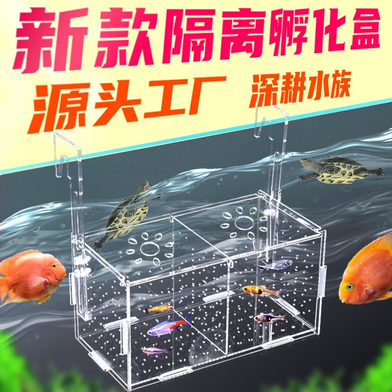 Fish Tank Isolation Box Breeding Hatching Box Betta Fish Breeding Guppy Delivery Room Fish Dance Transparent Acrylic Fish Hair Color