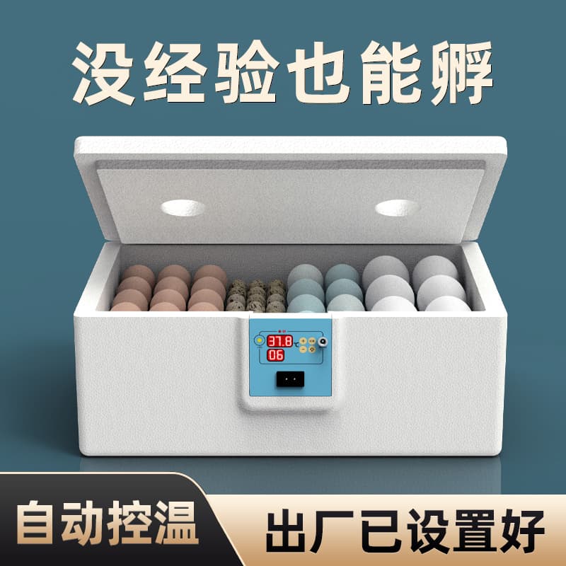 Small Incubator Water Bed for Quail Eggs, Home Automatic Incubation Machine, Smart Chicken Duck Goose Egg Incubator