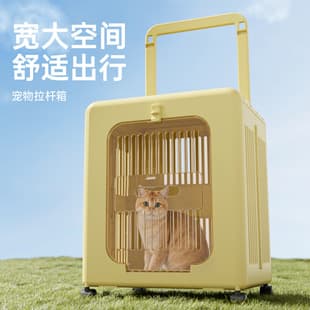 Foldable Pet Travel Carrier for Cats, Portable Cat Carrier Box, Breathable Airline-Approved Pet Crate for Dogs