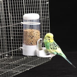 Automatic Bird Feeder for Cockatiel, Budgie, Lovebird: Parrot Food Container, Bird Cage Accessories, Bird Supplies