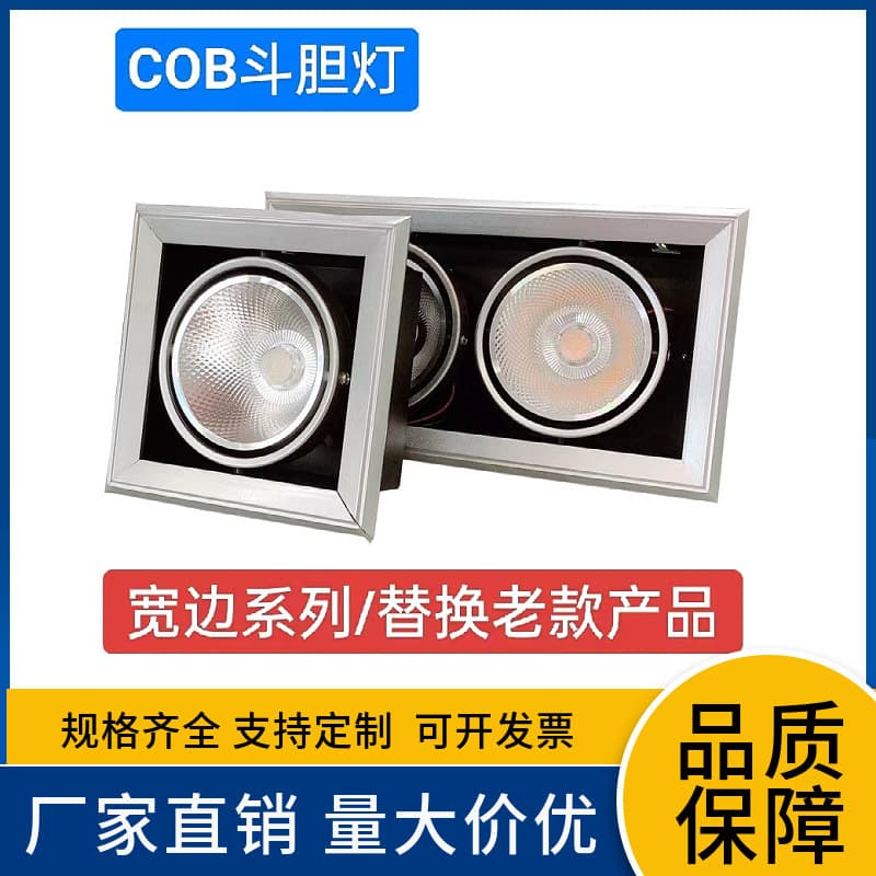 LED spotlight recessed ultra-bright double-headed spotlight grille light, commercial and residential lighting, Zhongshan lighting fixtures.