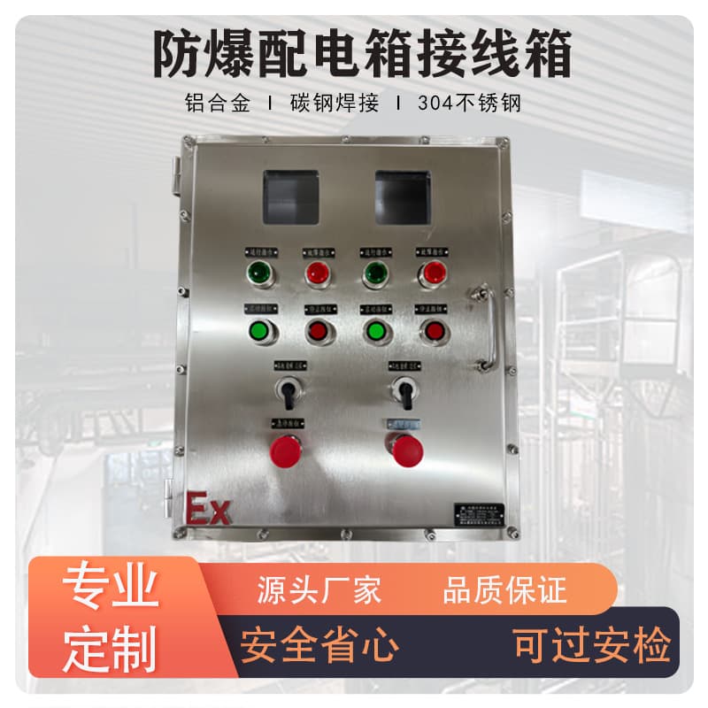 Explosion-Proof Distribution Box, Instrument Power Lighting Control Power Switch, Instrument Inspection Socket Junction Operation Terminal Box