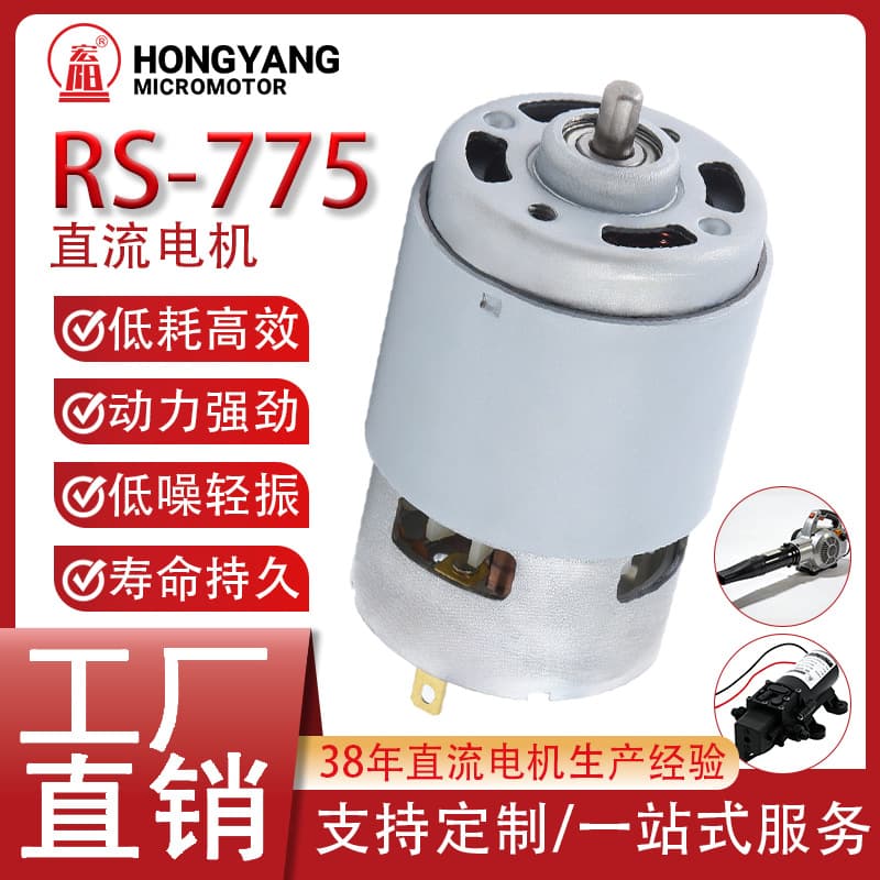 Rs775 Motor Custom Lift Massage Chair Lawn Mower Diaphragm Pump Motor Powerful Dc Brushed Small Motor