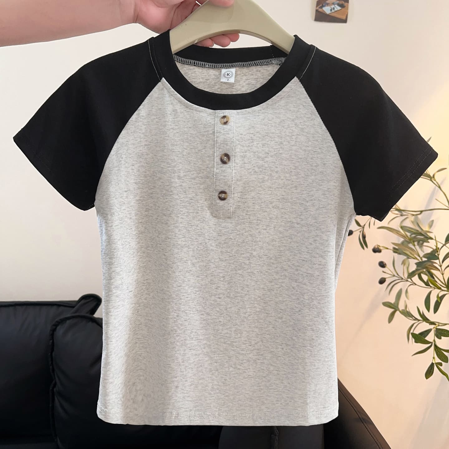 In Stock Color Block Raglan Sleeve Pure Cotton Round Neck Slim Fit Drop Shoulder Light Gray Cropped Short Sleeve T-Shirt for Women Top Summer Drop Shipping