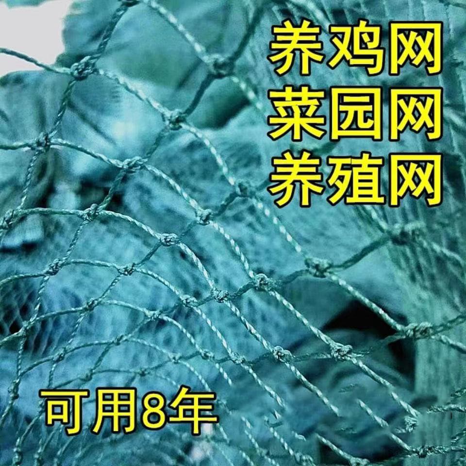 Pheasant Plant Climbing Net Bird Proof Nylon Net Chicken Barrier Cross-border Poultry Netting Garden Fence Net