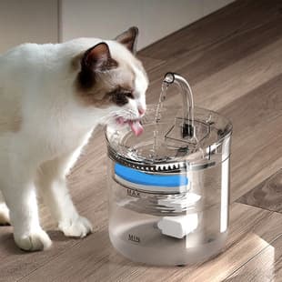 Pet Water Fountain Automatic Circulation Smart Constant Temperature Cat Dog Fountain Water Dispenser Kitten Waterer Pet Supplies Wholesale
