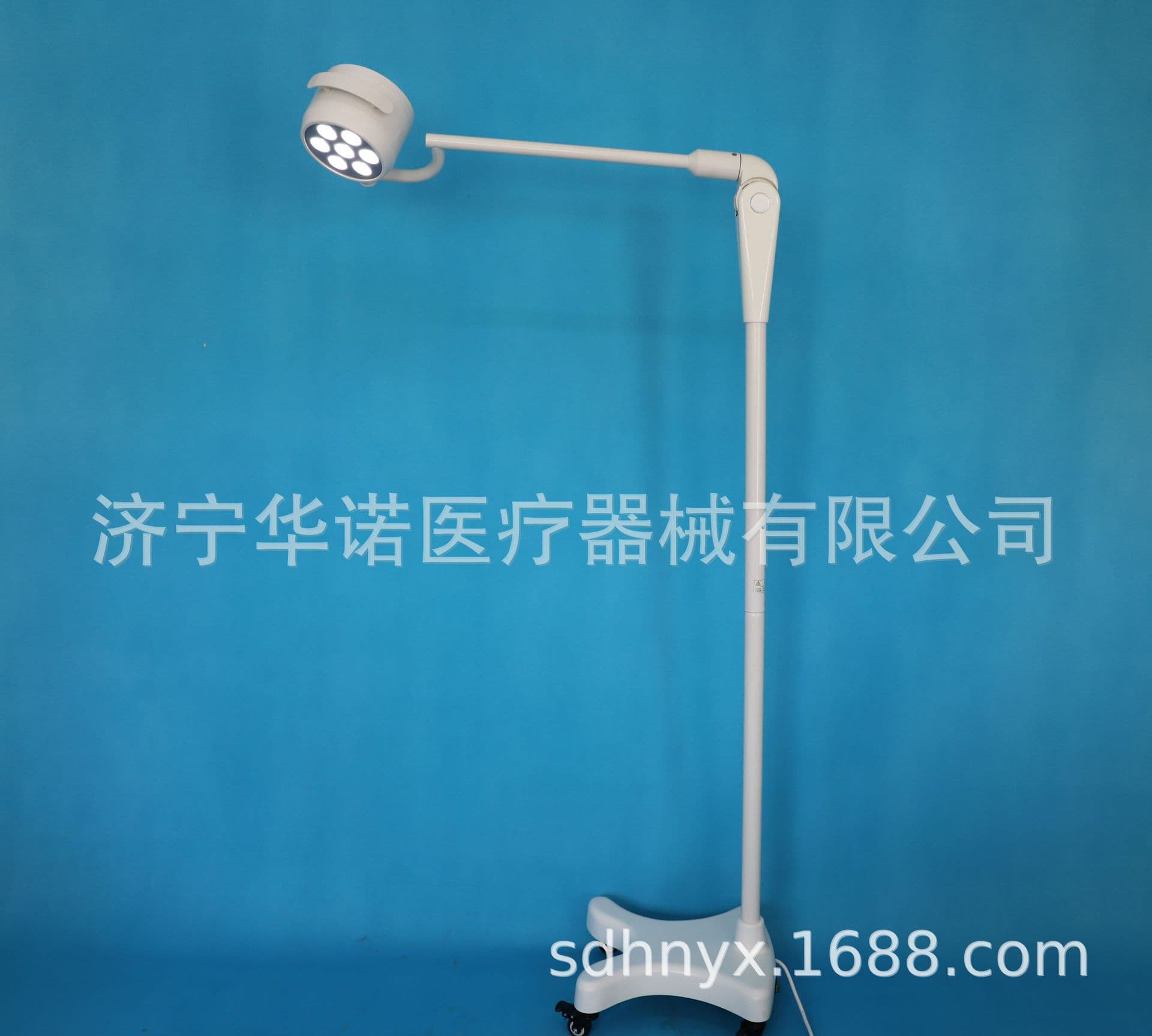 Beauty Lamp, Oral Lamp, Surgical Lamp, Examination Lamp, Gynecological Mobile Lamp, Pet Lamp, Clinic Surgical Lamp, Emergency Department Lamp