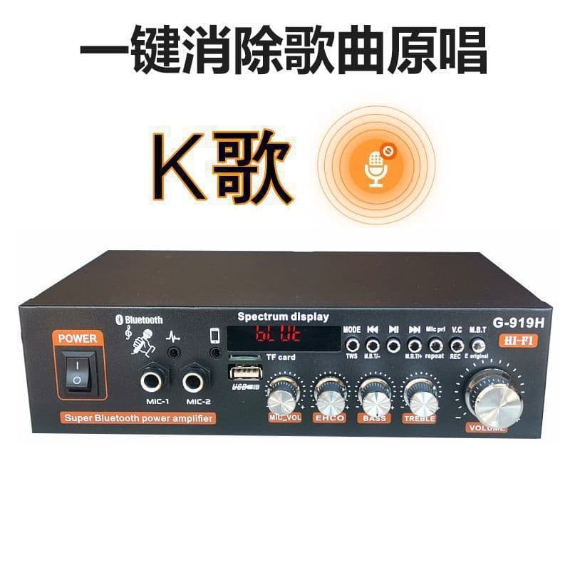 Audio Power Amplifier Bookshelf Speaker Amplifier Small Amplifier Home Use 220V 12V Car Power Supply Dual Use