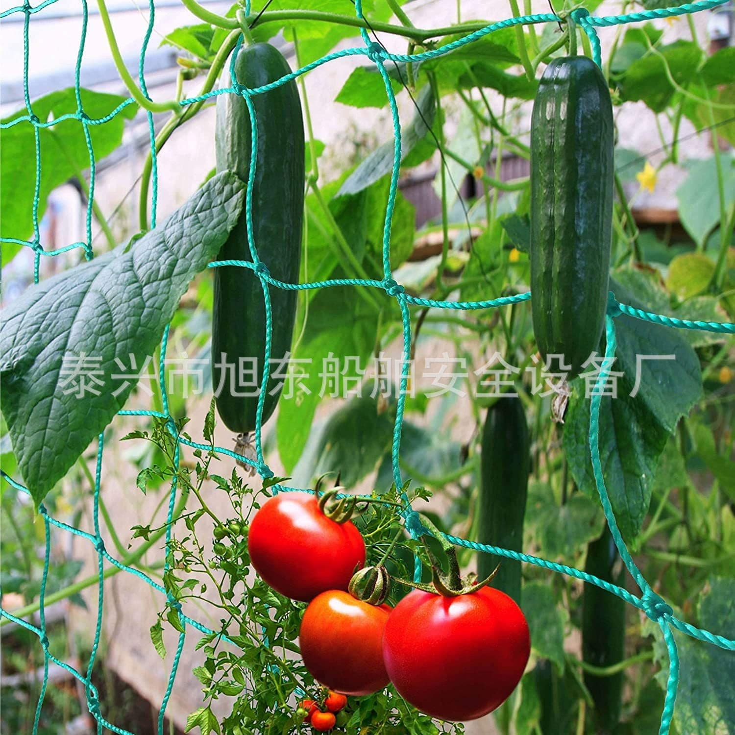 Factory Direct Plant Vine Climbing Net, Green Gardening Home Use for Grapes, Cucumbers, Tomatoes, and Similar Plants Climbing Net