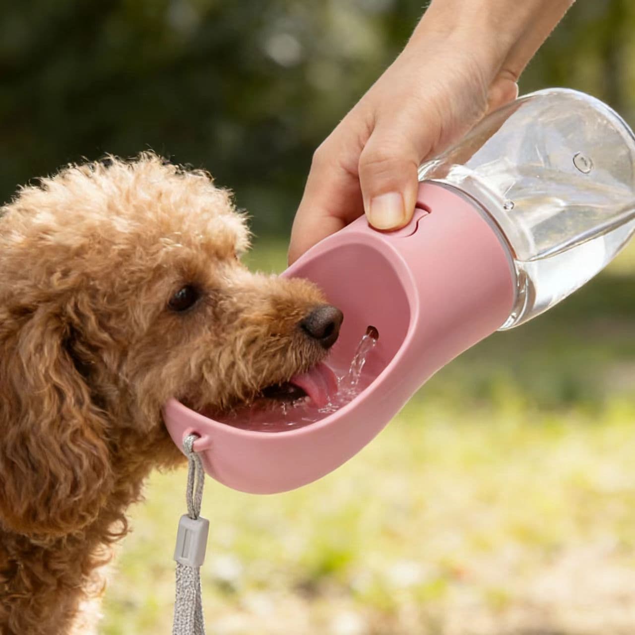 Summer Portable Pet Dog Water Bottle 330ml Drinking Bowl for