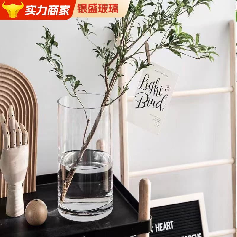 Borosilicate Glass Vase Hydroponic Plant Bottle Transparent Floor-Standing Lucky Bamboo Straight Round Cylinder Flower Table Decoration