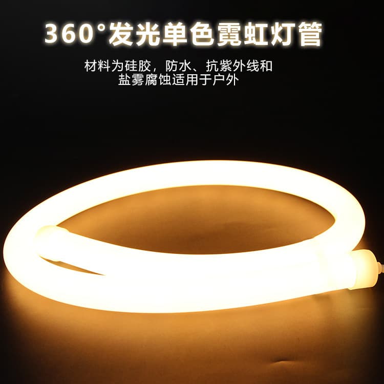 Factory direct sales support customized silicone flexible LED neon tube diameter 22mm