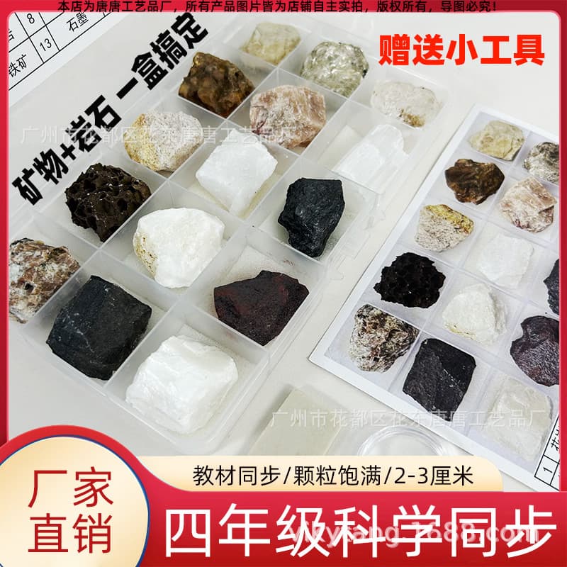 Elementary School Grade 4 Science Class Teaching Sedimentary Rock Minerals 15 Specimen Set Teaching Tool for Students Manufacturer Wholesale