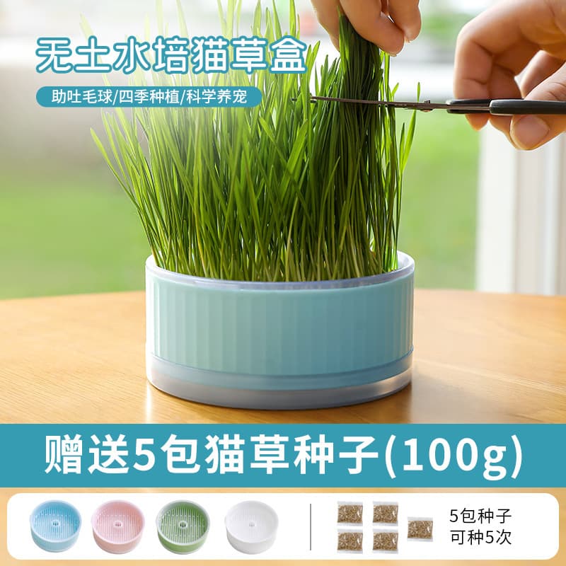 Cat Grass Potted Wheat Seed Seedling Tray Soilless Hydroponic Catnip Self-Planted Kitten Snacks