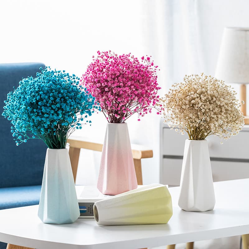 Simple Nordic Style Internet Celebrity Dried Flower Vase Decoration Living Room Tabletop Desktop Hydroponic Flower Arrangement Baby's Breath Flower Vessel Decor