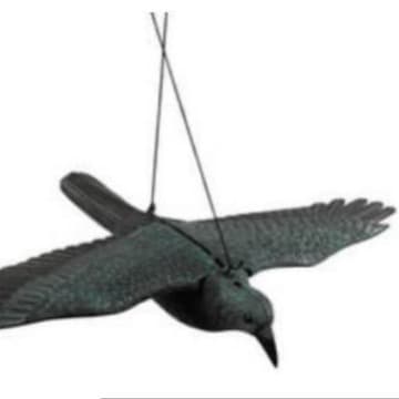 Lifelike Simulation Wild Animal Large Detachable Wings Flying Bird Hanging Rope Outdoor Hunting Decoy Bird Repellent