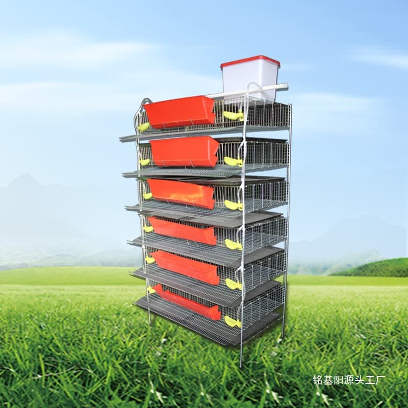 Quail Breeding Cage Rack H-Type Vertical 6-Layer with Automatic Manure Removal, Feeding, and Drinking System for Brooding and Raising