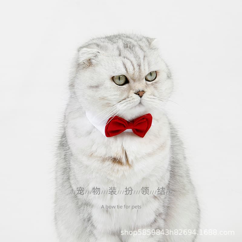 Cat Bow Tie Pet Costume Amazon Pet Accessory Wedding Decoration Holiday Red Bow Tie Dog Bow Tie