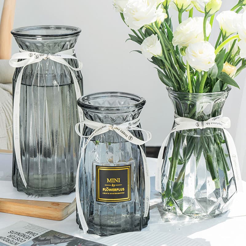 Nordic European Style Vase, Transparent Glass, Simple, for Living Room, Water Cultivation, Flower Arrangement, Hydroponic, Dried Flower Vase, Fresh Flower Decoration
