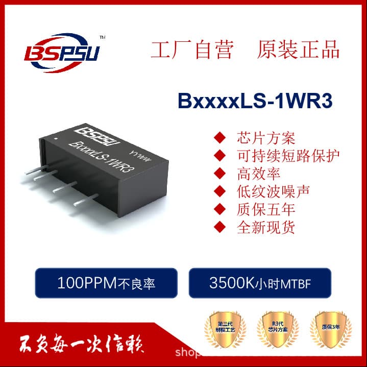 B2403LS-1WR3 B2403/2405/2424LS-1WR3 Short-Circuit Protection Isolated Power Module