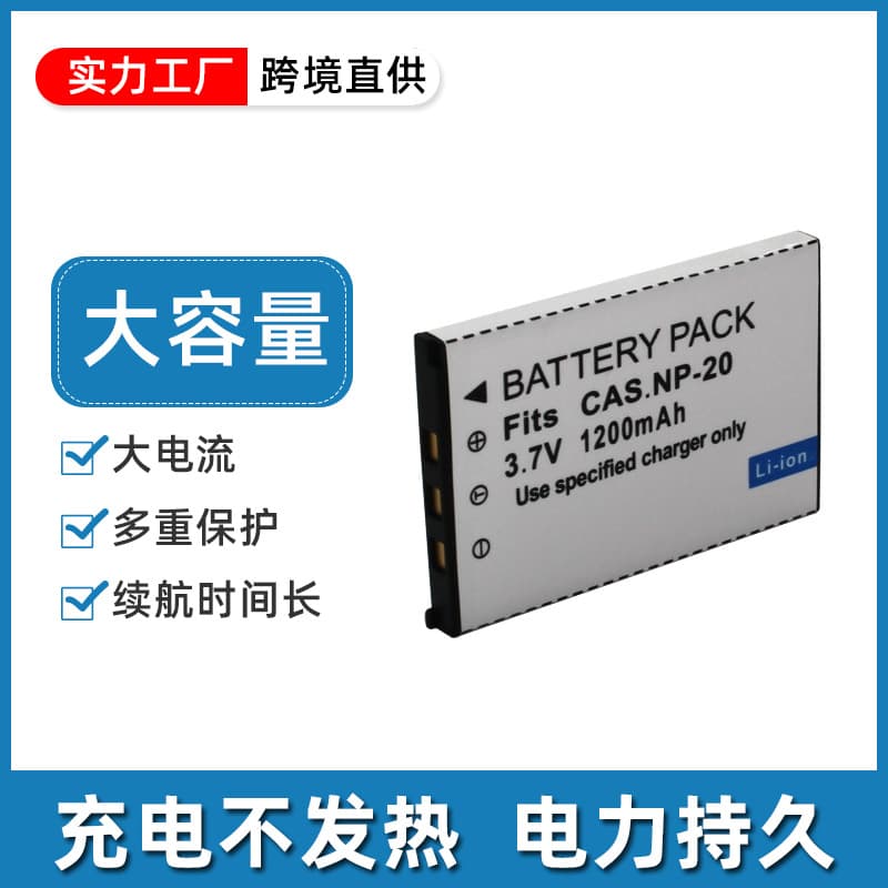 Compatible with Casio EXS1PM S2PW S3 S20 S20U S60 S100WE S500 NP-20 Battery
