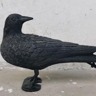 Lifelike Garden Decoration Wildlife Small Black Bird Standing Forest Outdoor Hunting Decoy Tool