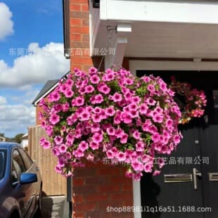 Cross-border New UV Resistant Artificial Petunias Flowers