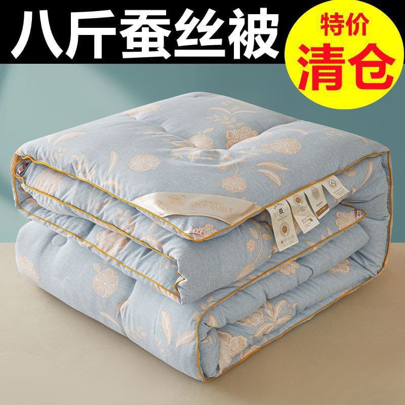 Silk Duvet 100% Mulberry Silk Cotton Quilt Core Spring/Autumn Air Conditioning Quilt Thick Warm Winter Duvet Single Student Blanket Pure Cotton