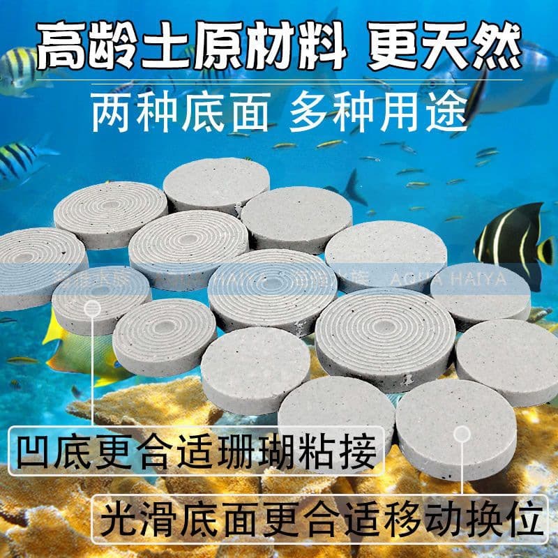 Longxiang Palace Seawater Coral Propagation Base, Round Ceramic Base with Bumps for Zoanthids and SPS Frags